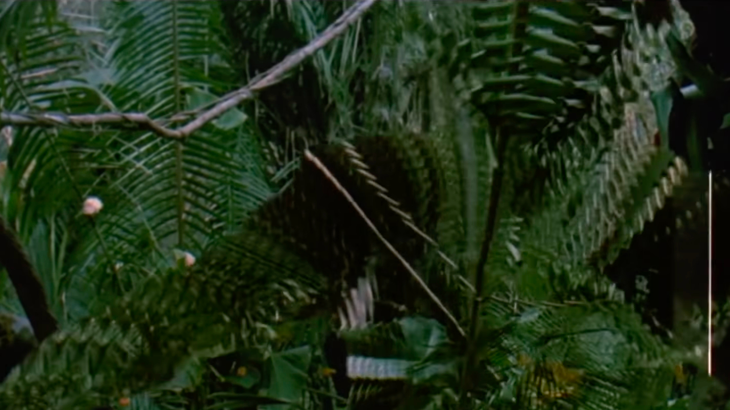 Predator / Credit: 20th Century Fox